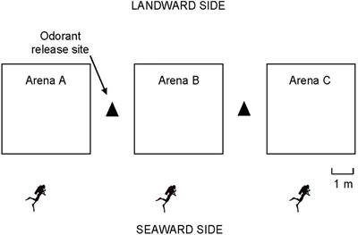In situ testing of candidate odorant cues in coral-reef fish: a new method with tests of dimethylsulfoniopropionate and betaines